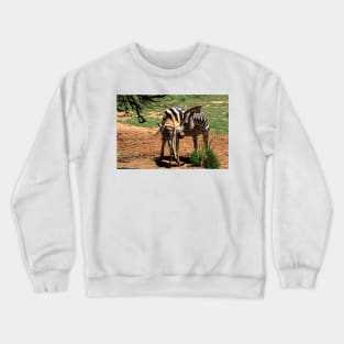 Zebra Mother & Foal Crewneck Sweatshirt